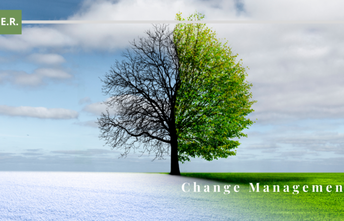 change_management change management