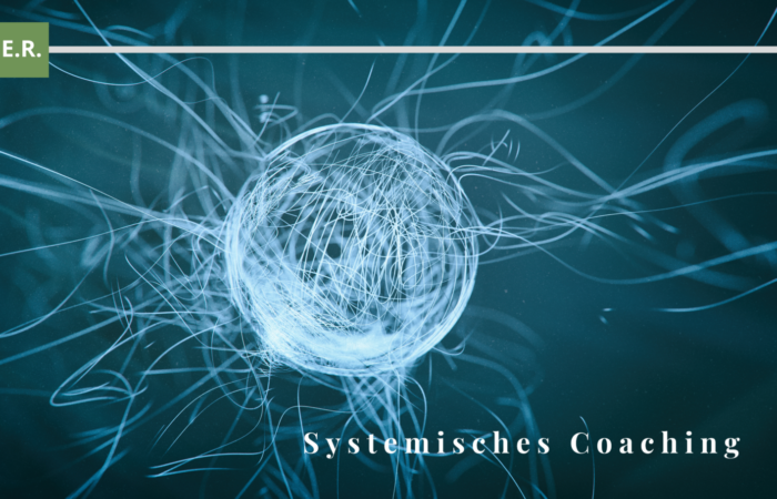 systemisches_coaching systemisches coaching